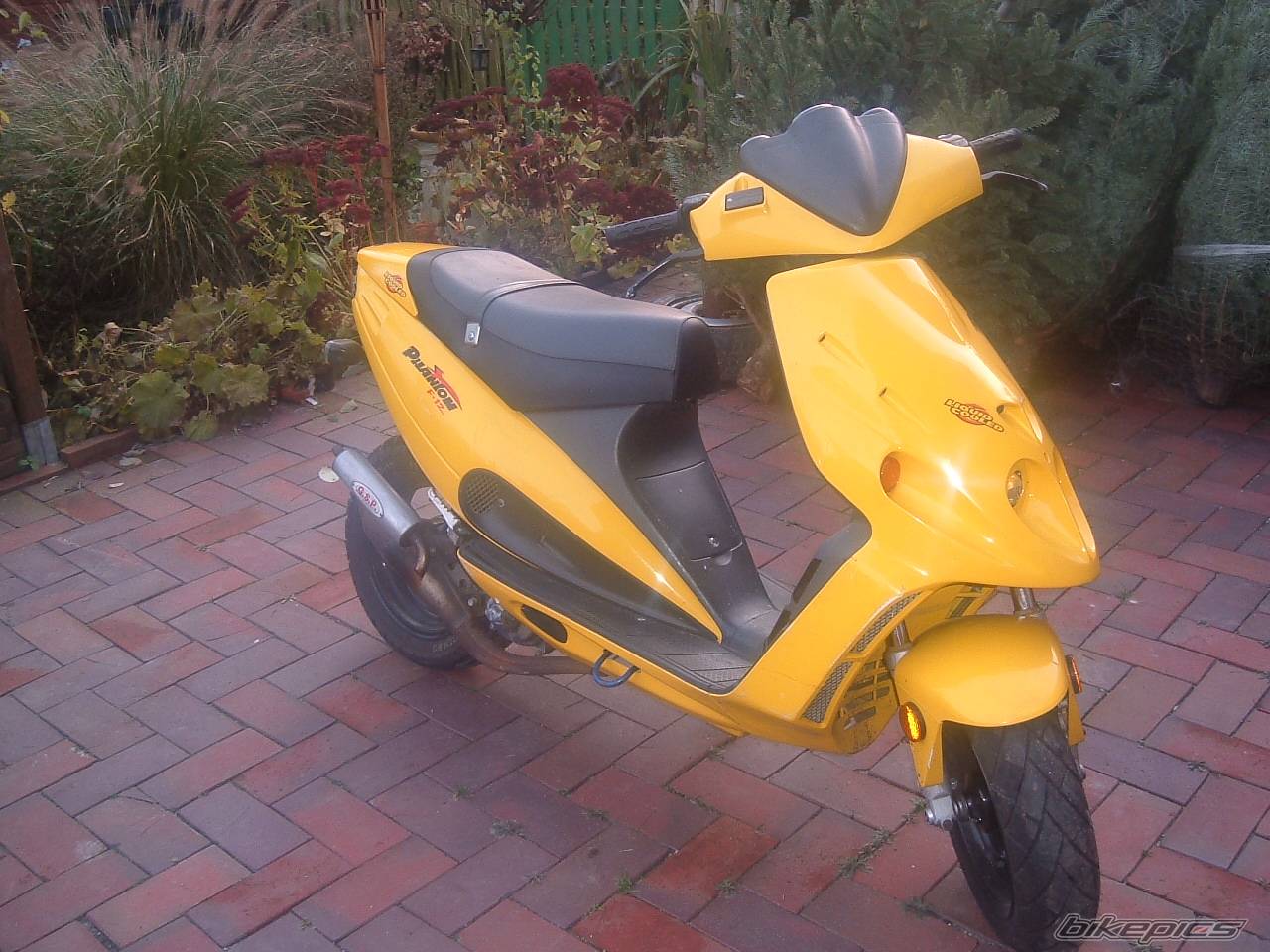 Bike Photo 476087