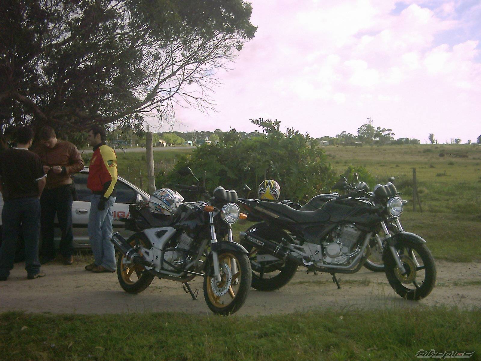 Photo 476240