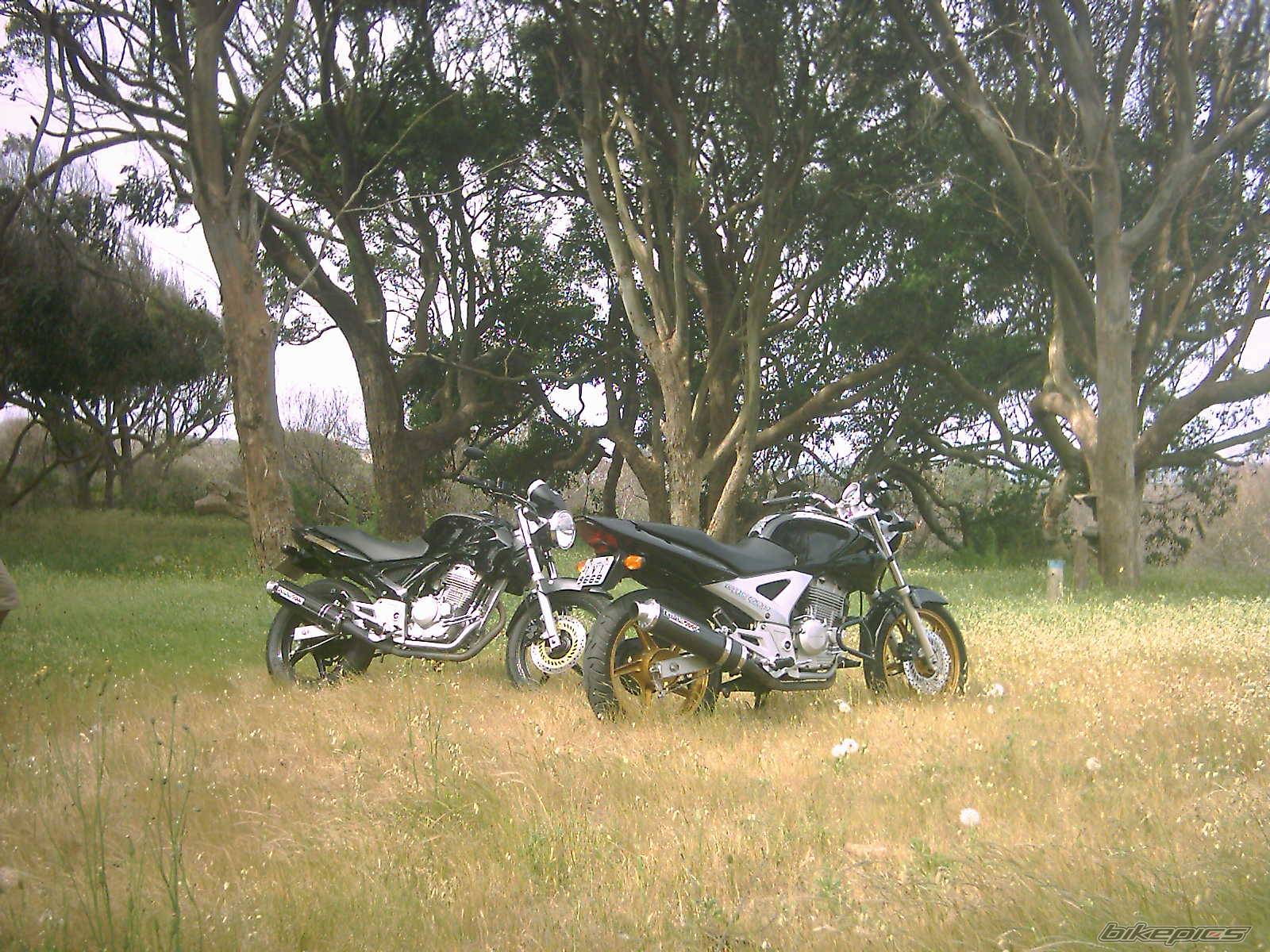 Photo 476242