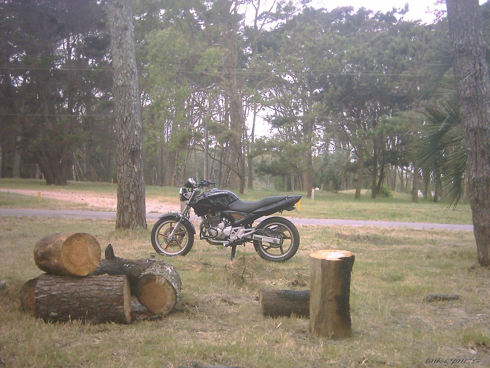 Photo 476243