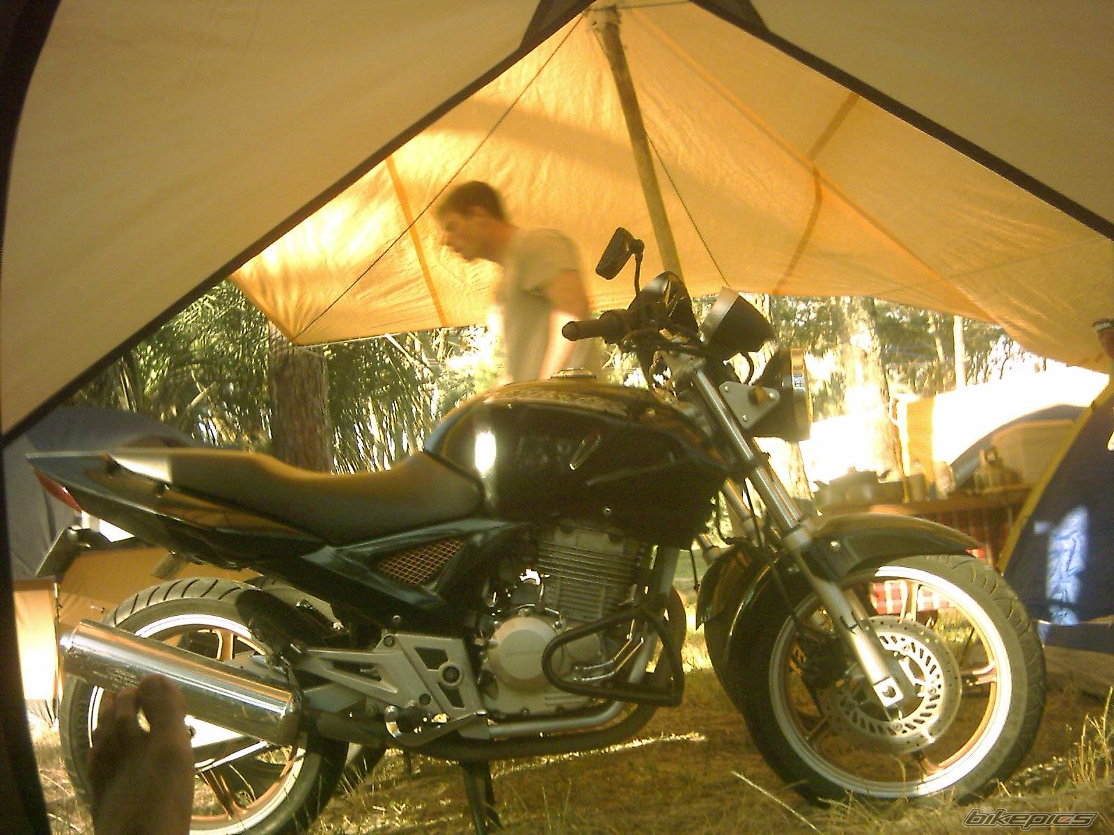 Photo 476245