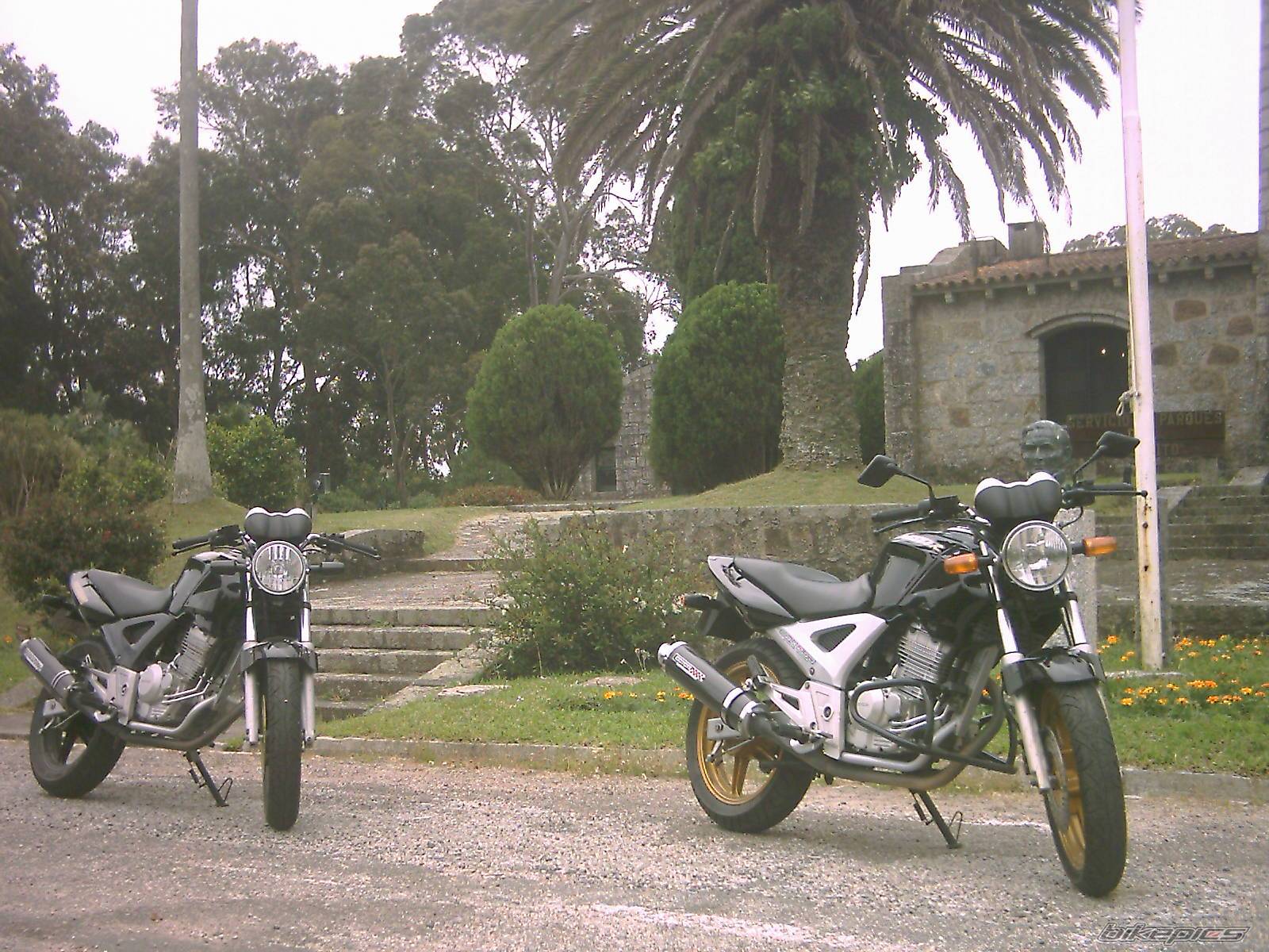 Photo 476264