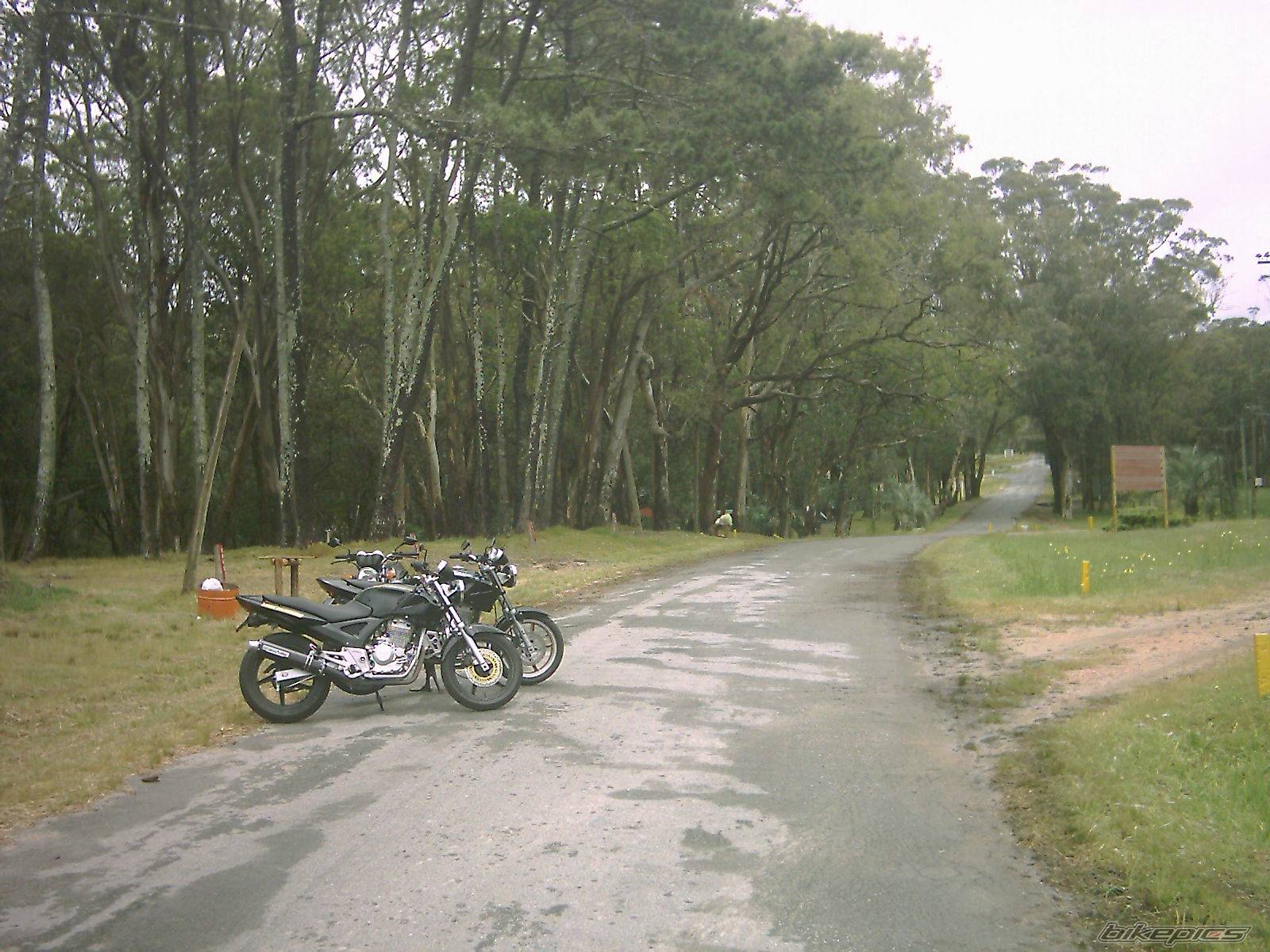 Photo 476266