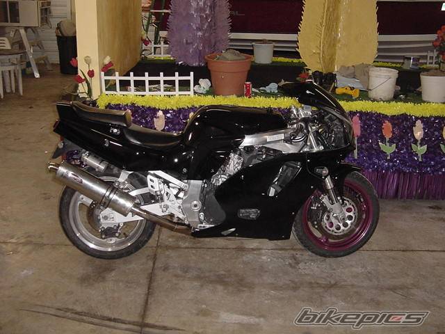 Photo 47627