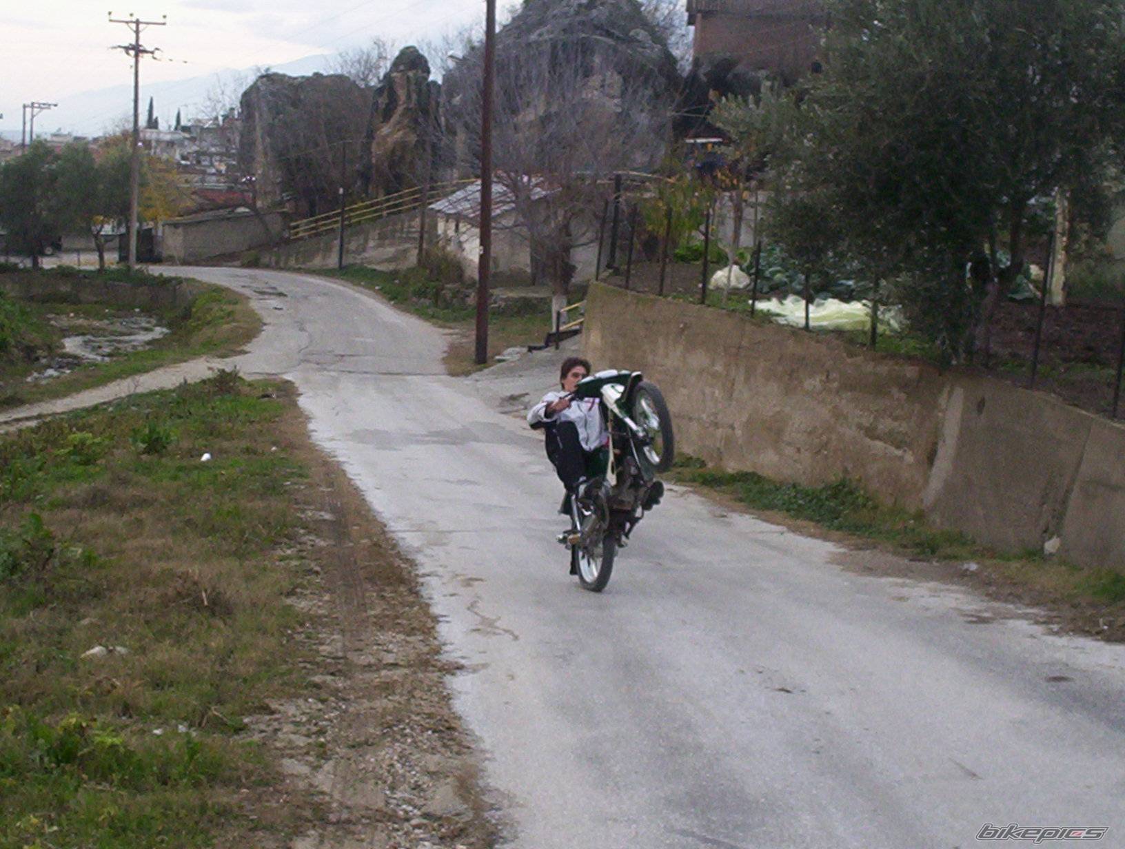 Photo 476633
