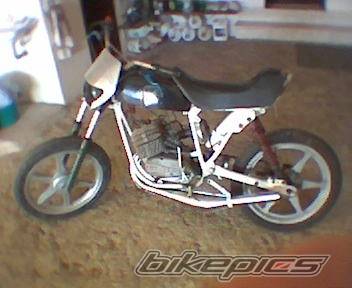 Photo 476684