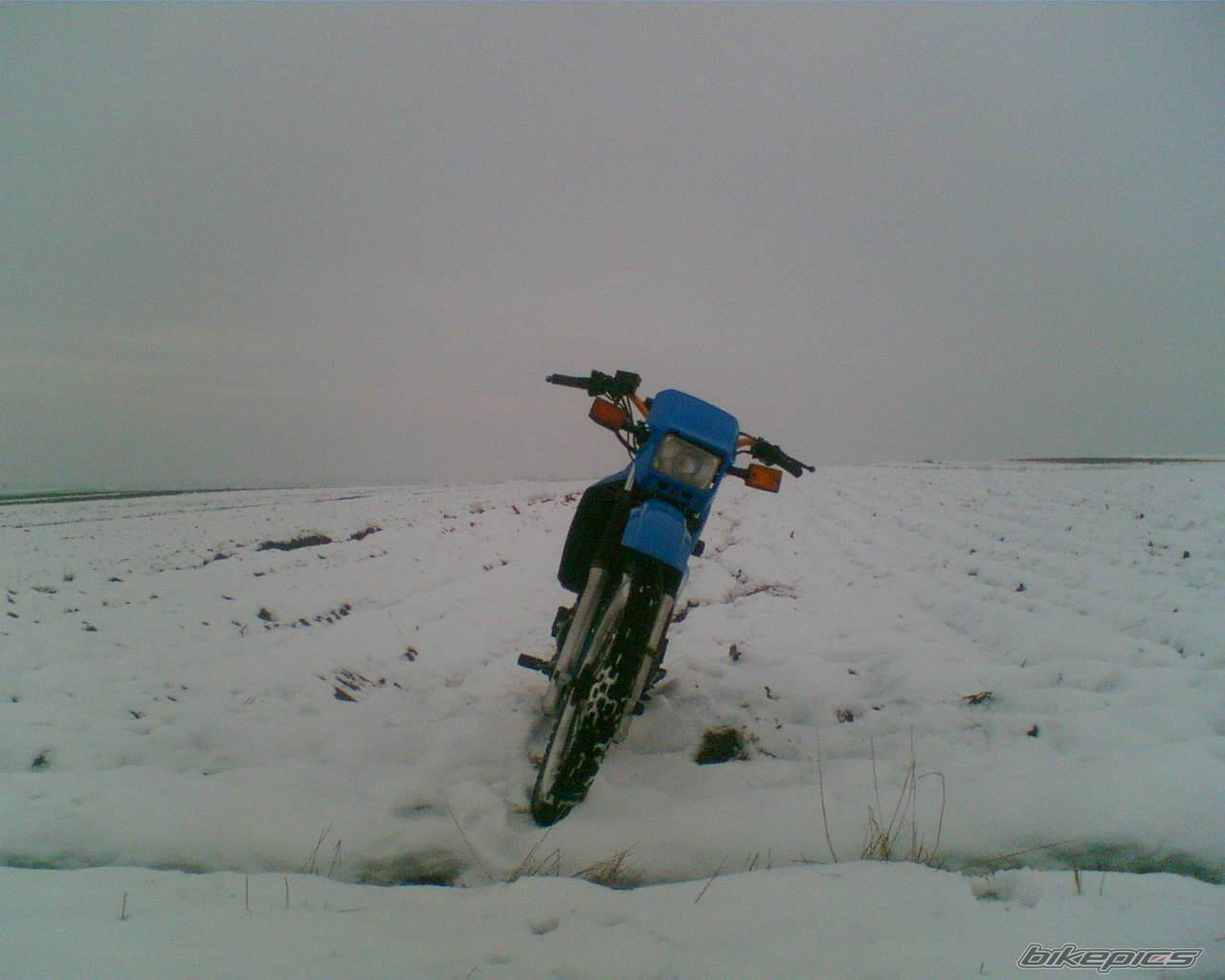 Photo 477119
