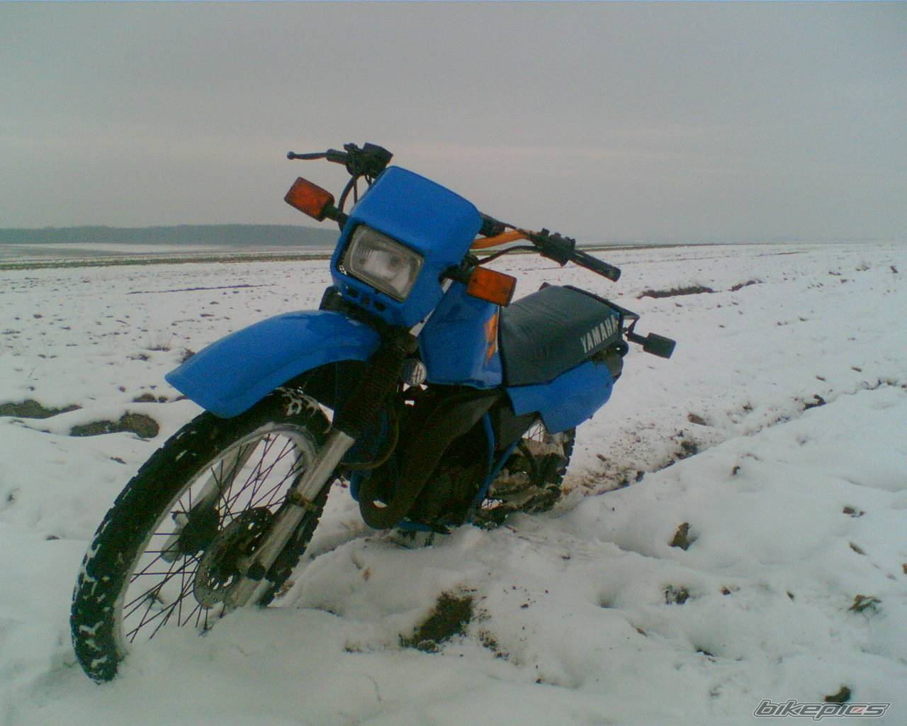 Photo 477135