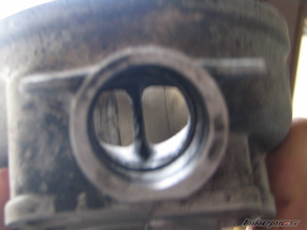 Photo 477138