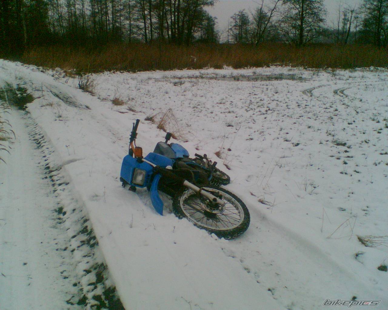 Photo 477139