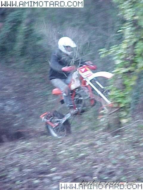 Photo 47714