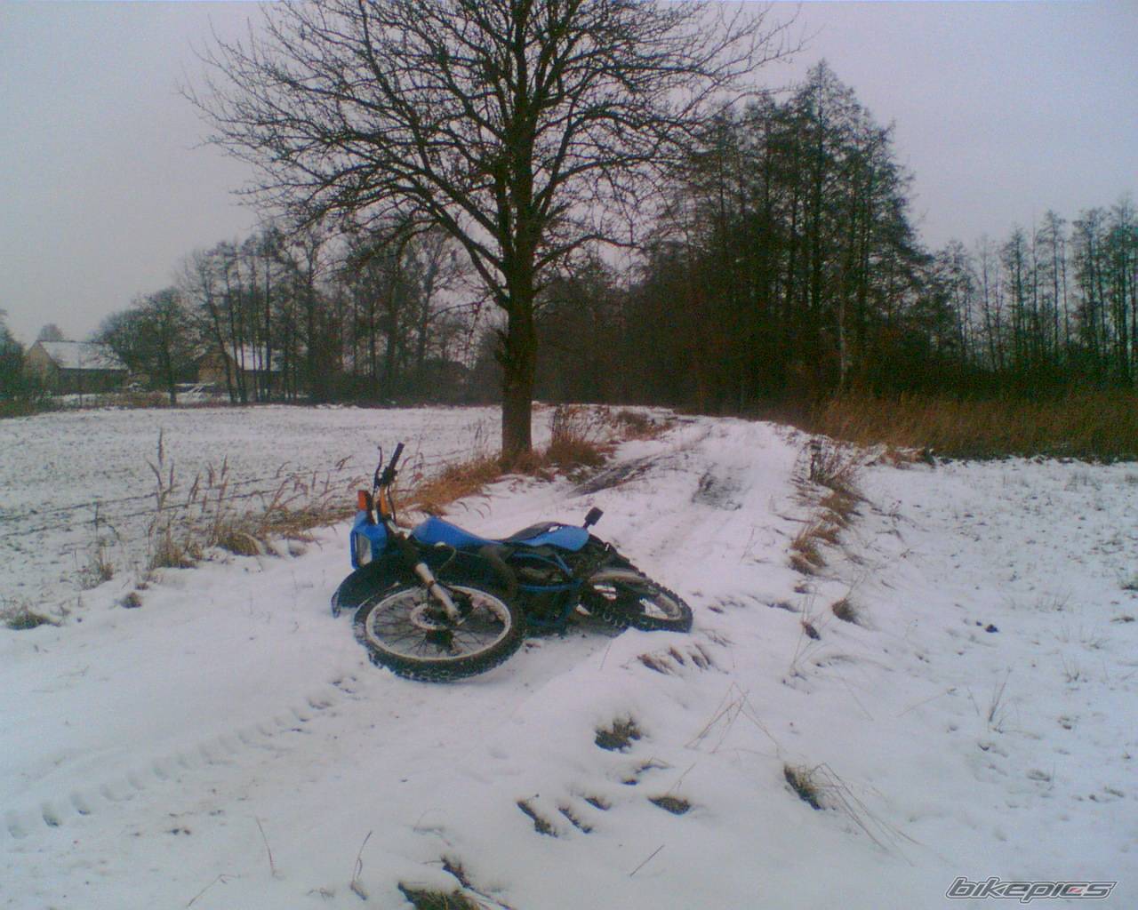 Photo 477141