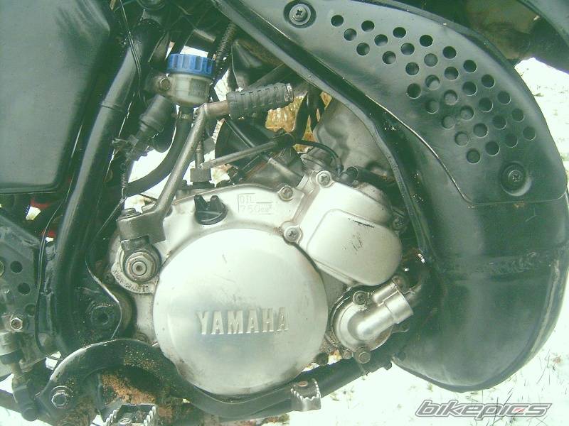 Photo 477159