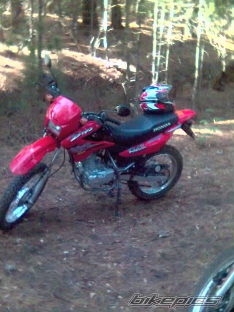 Photo 477245