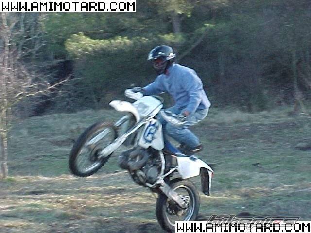 Photo 47728