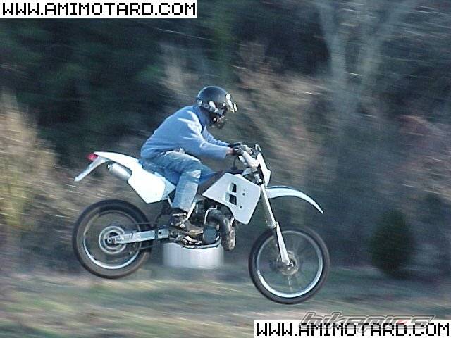 Photo 47729