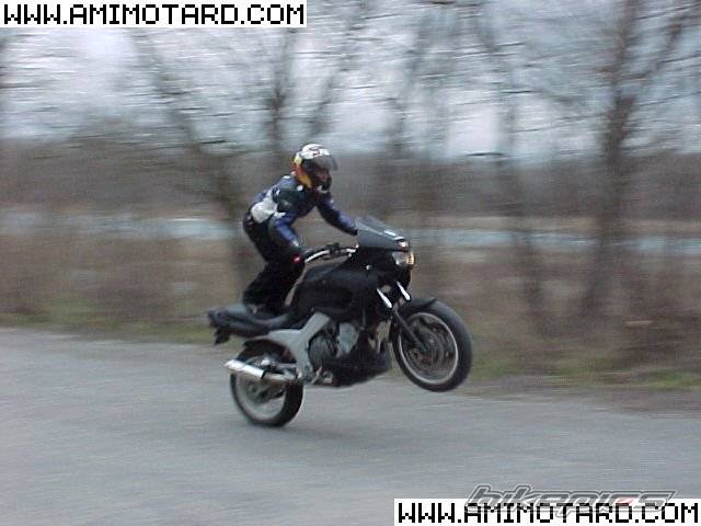 Photo 47732
