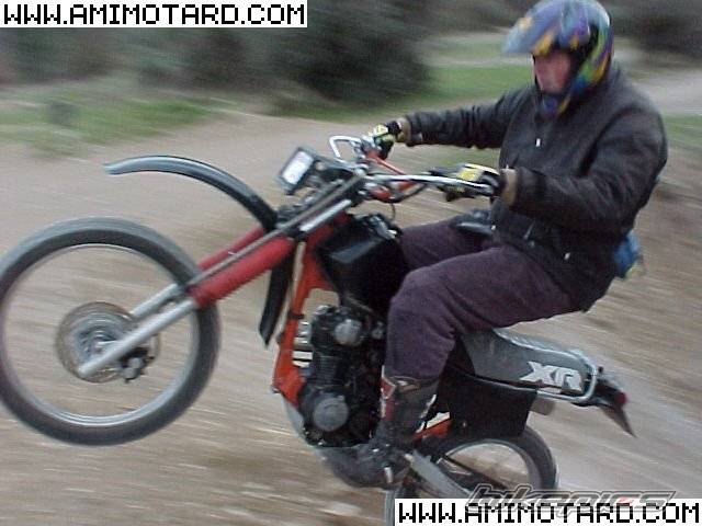 Photo 47734