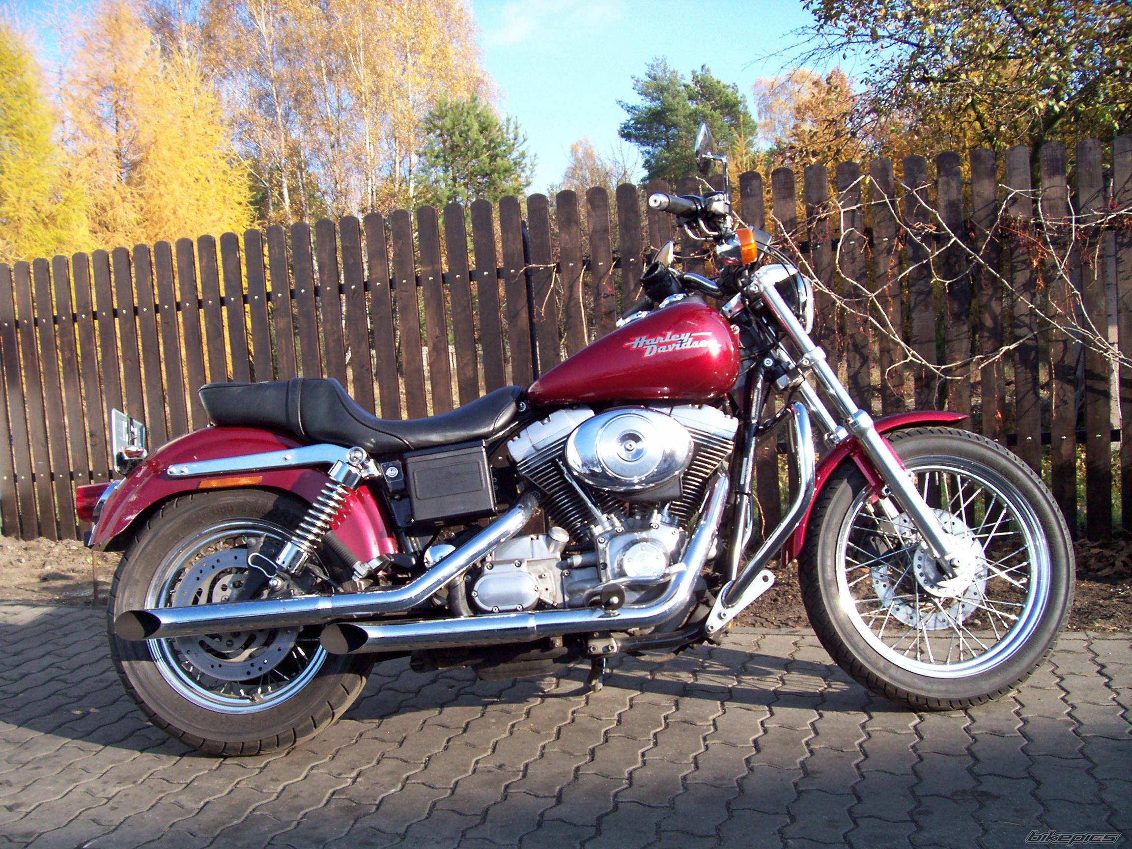 Photo 477343