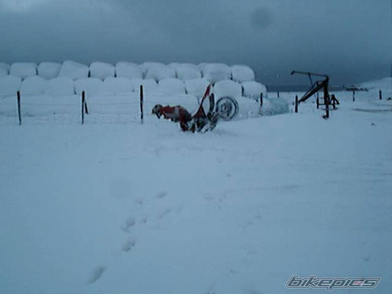 Photo 477347