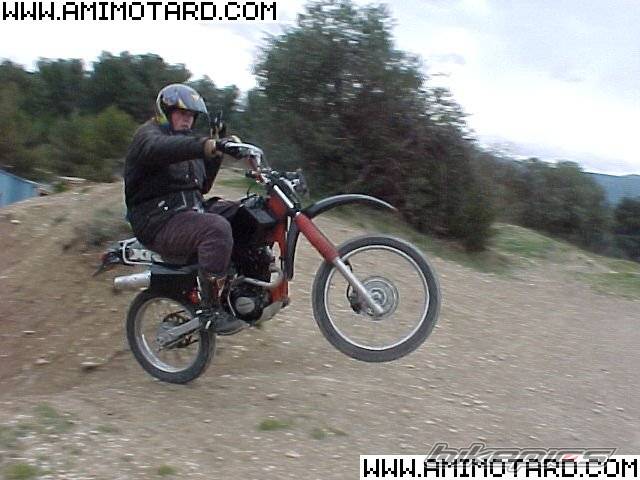 Photo 47736