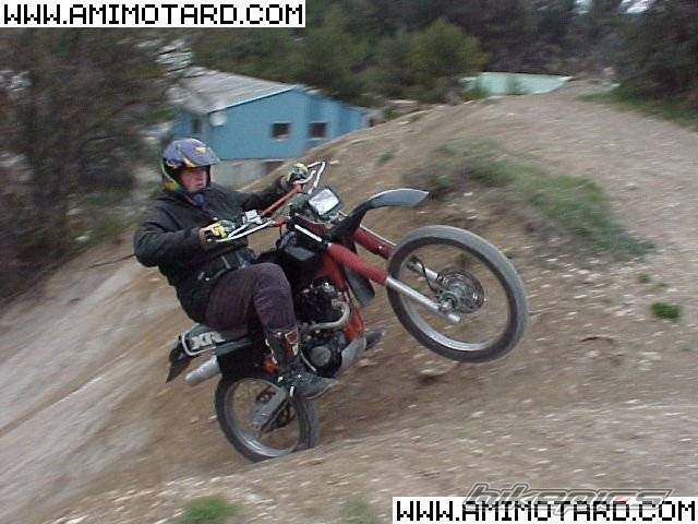 Photo 47737