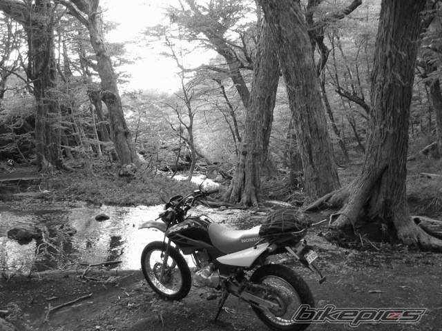 Photo 477460