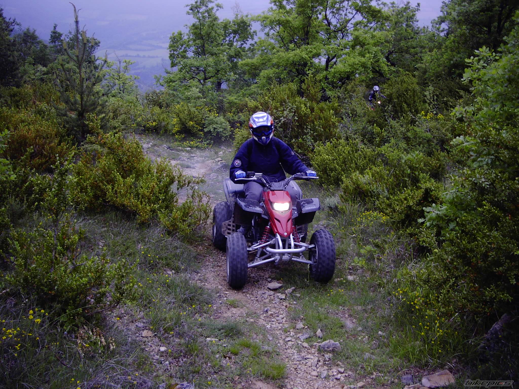 Photo 47753