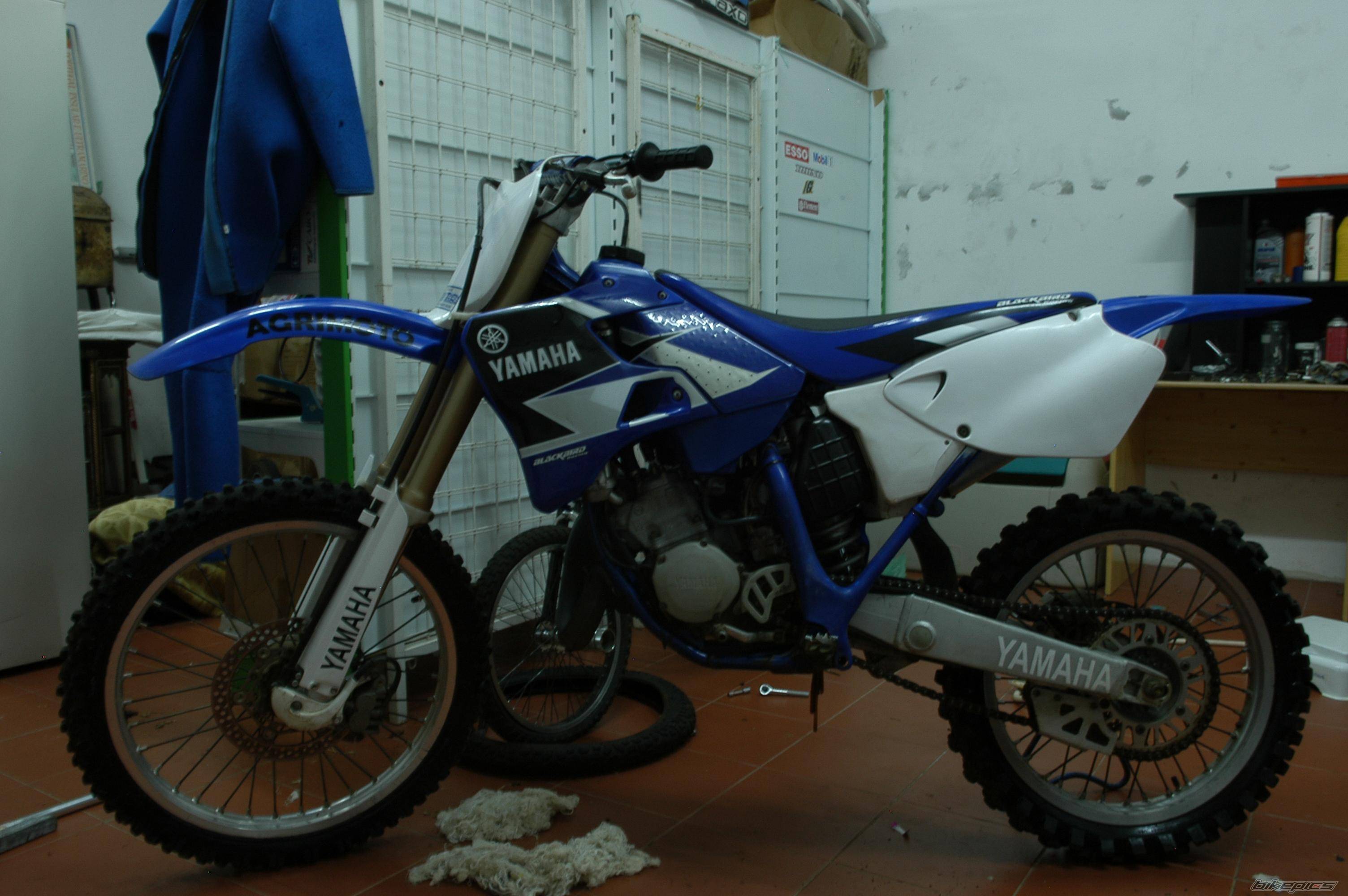 Bike Photo 477987