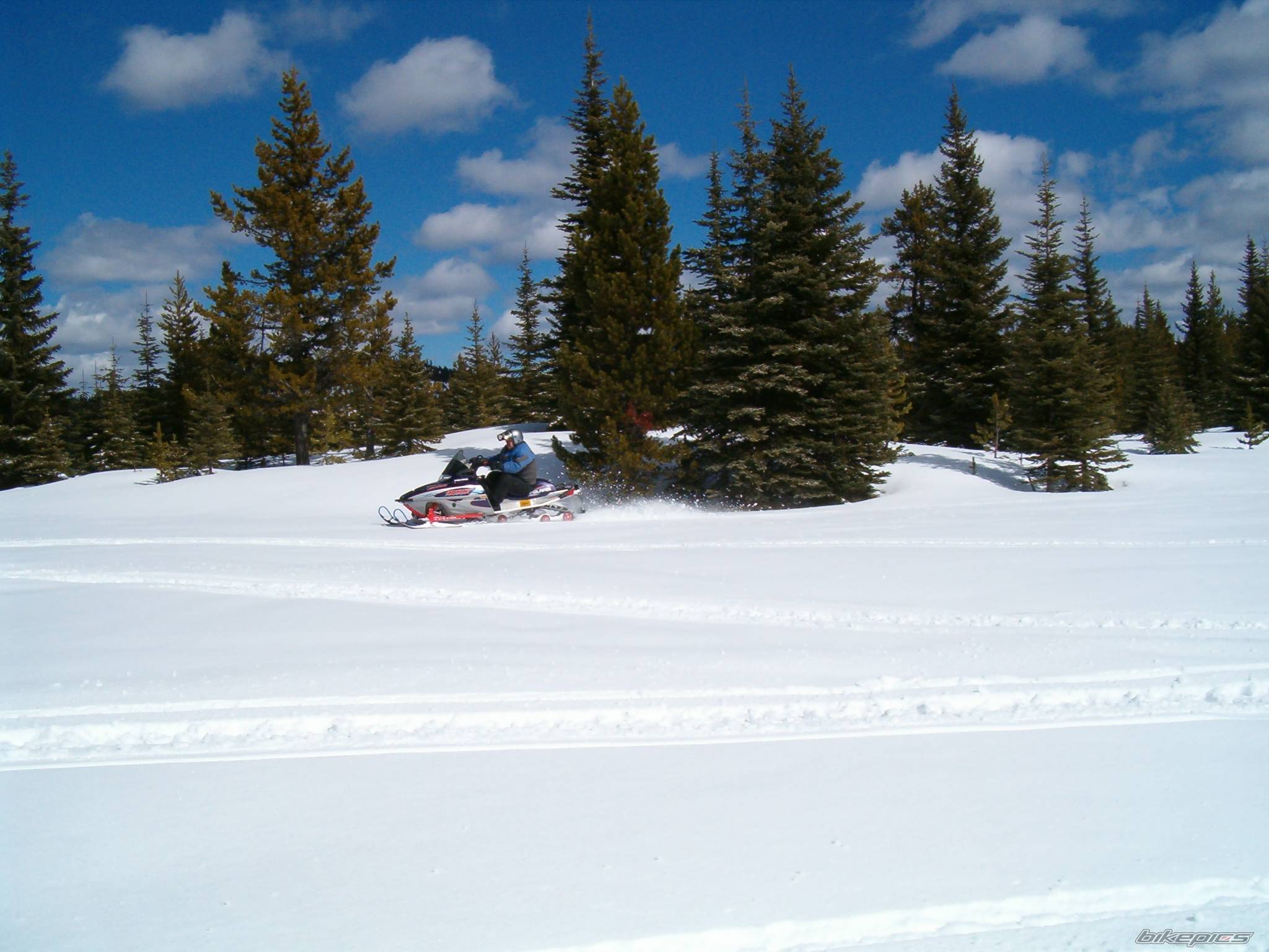 Photo 478023