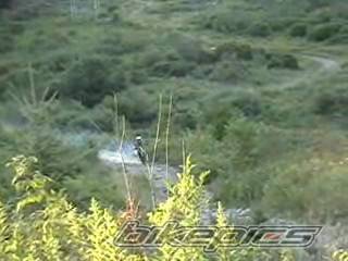 Photo 478083