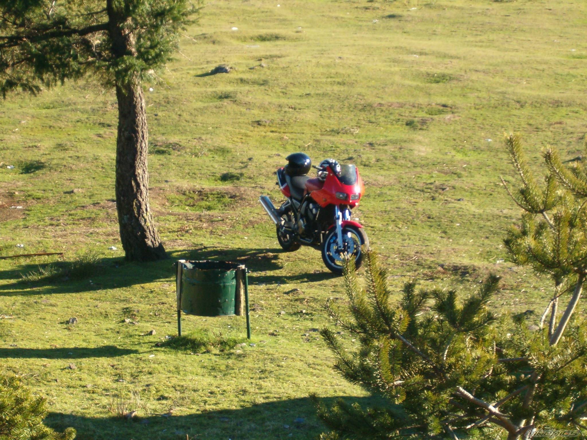 Photo 478508