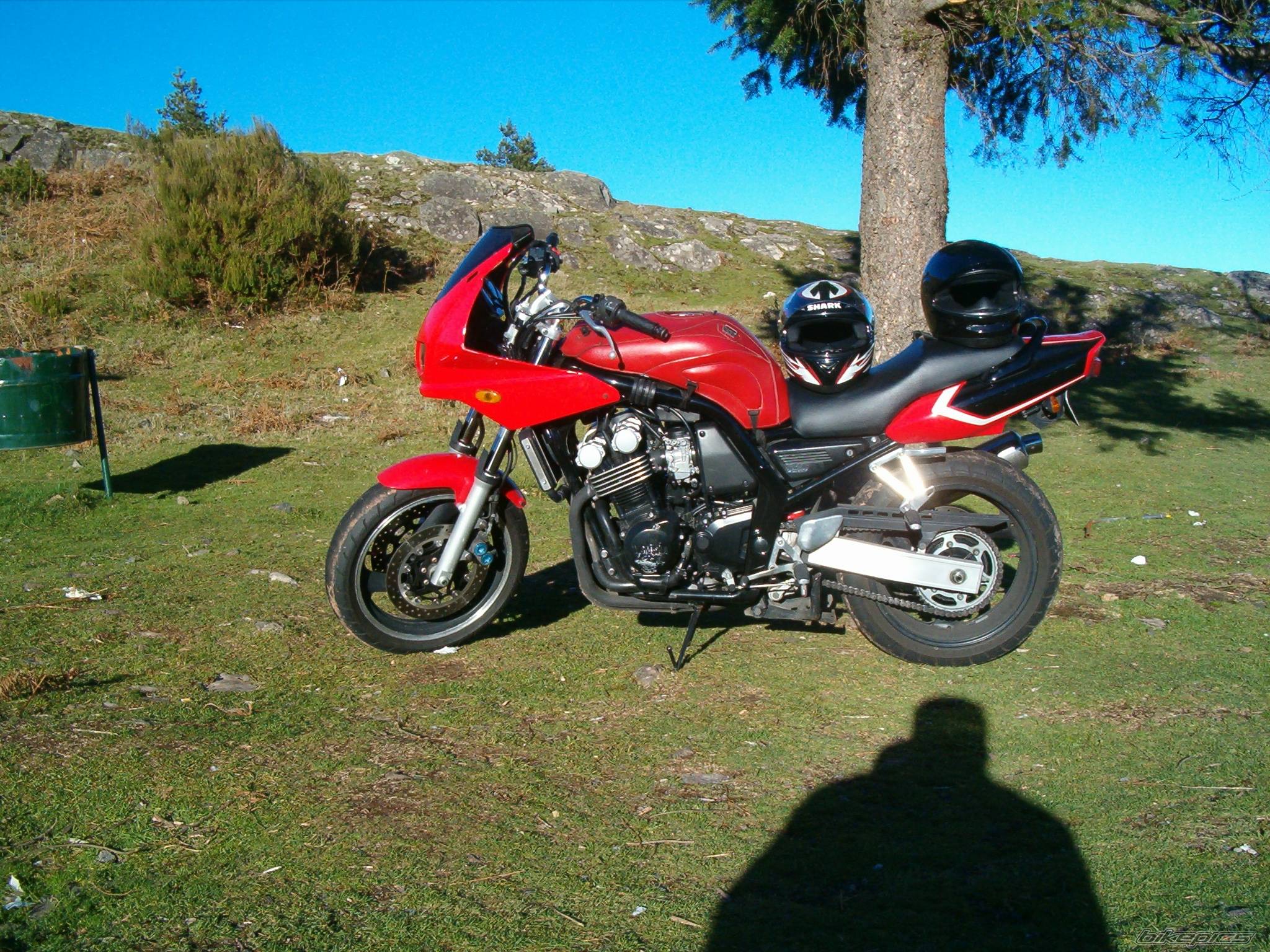Photo 478509