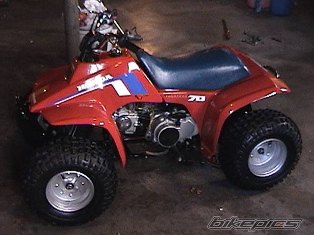 Photo 478513