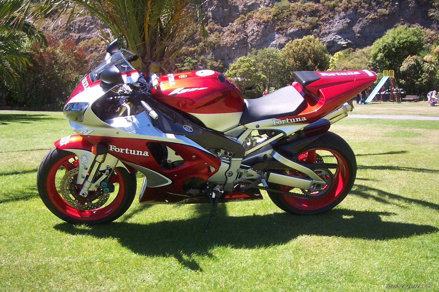 Bike Photo 478592