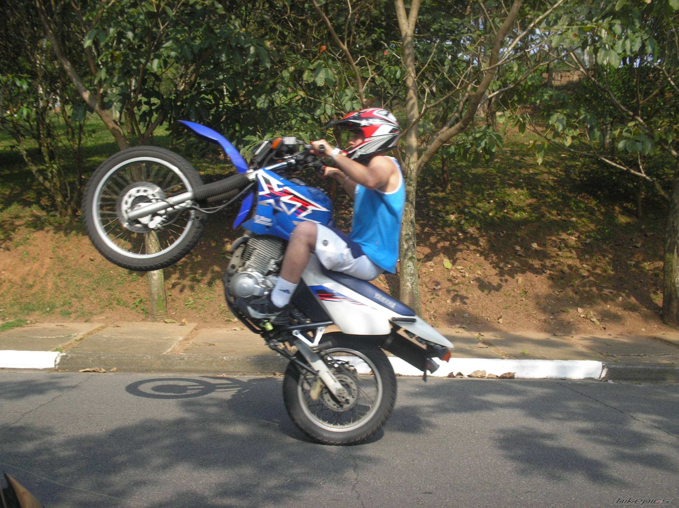 Bike Photo 478598