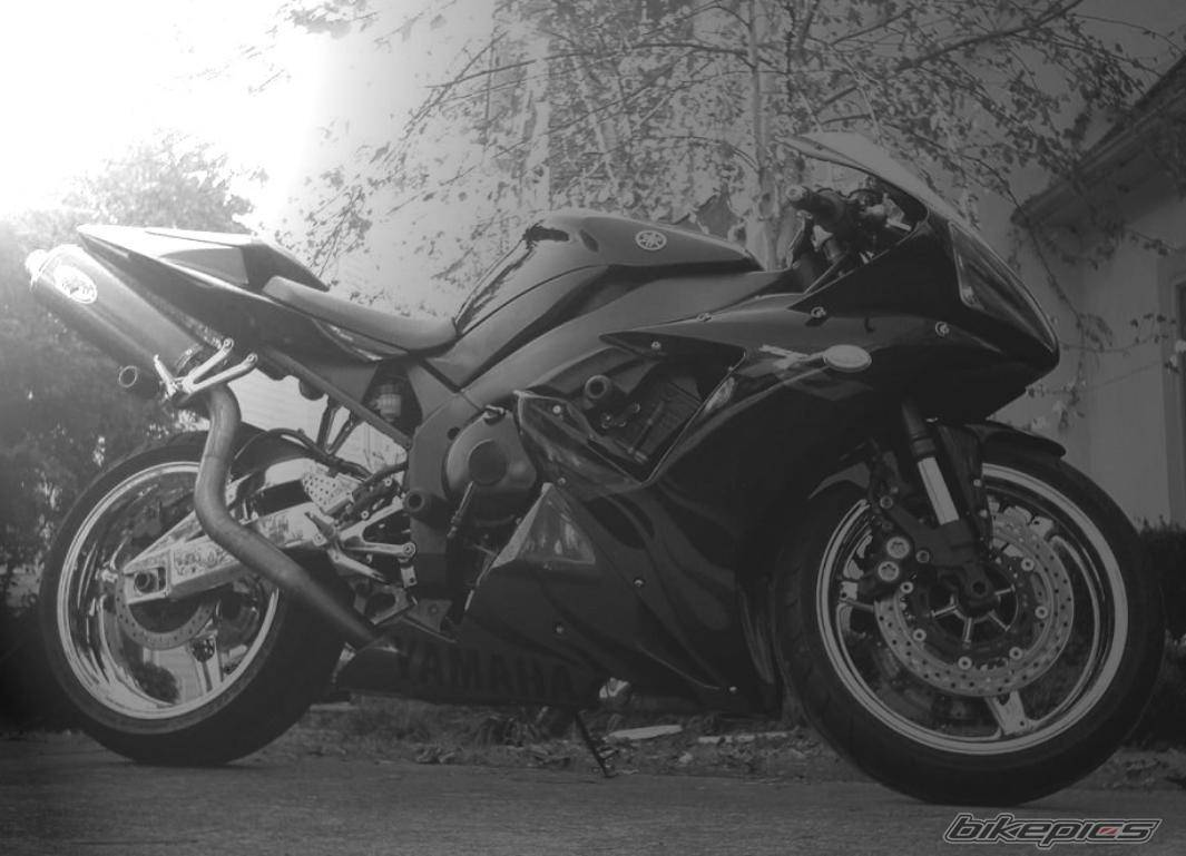 Photo 478640