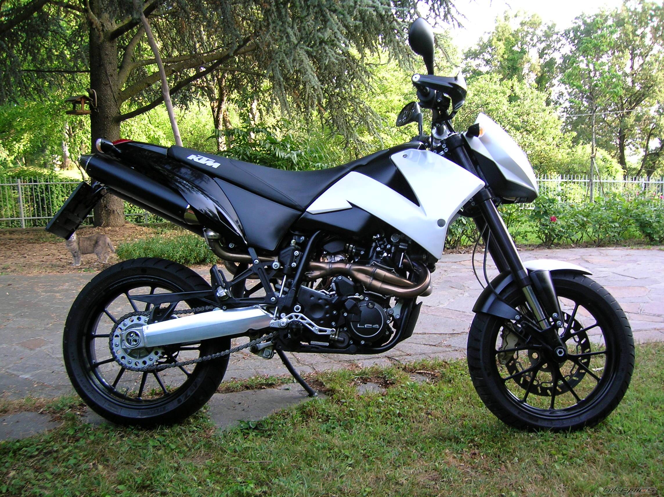 Photo 478720