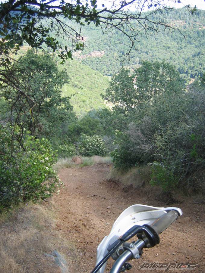 Photo 478758