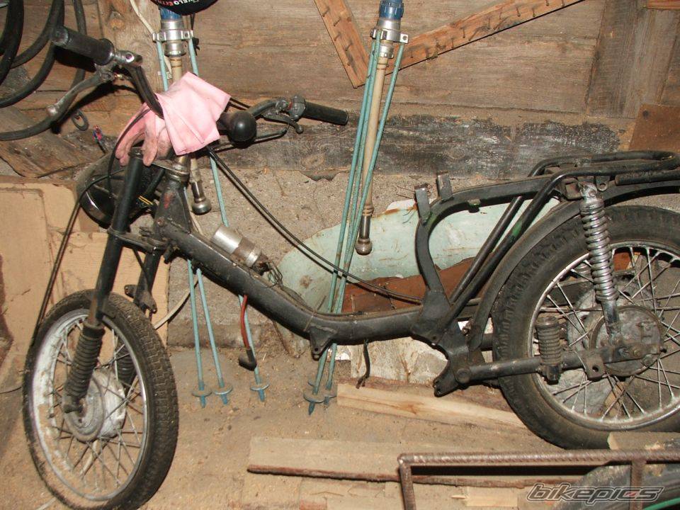 Photo 478786