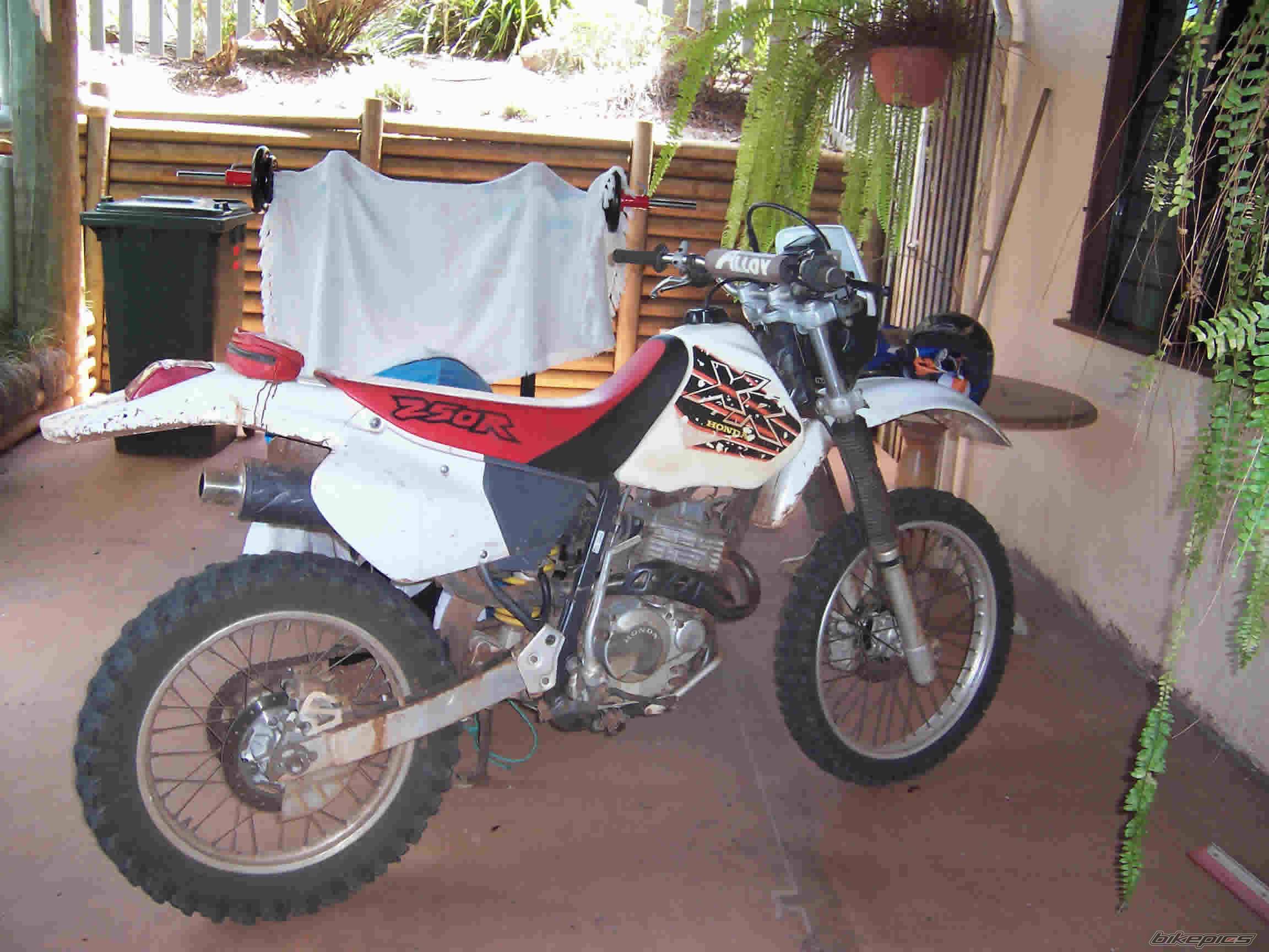 Bike Photo 478996