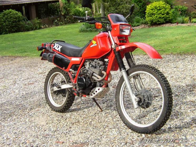 Bike Photo 479164
