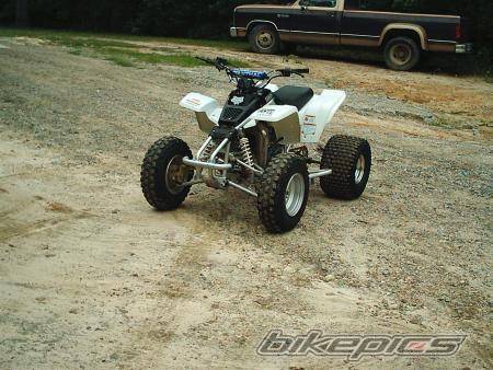 Photo 47919