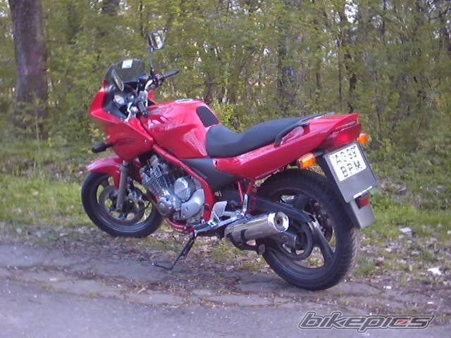 Bike Photo 47928