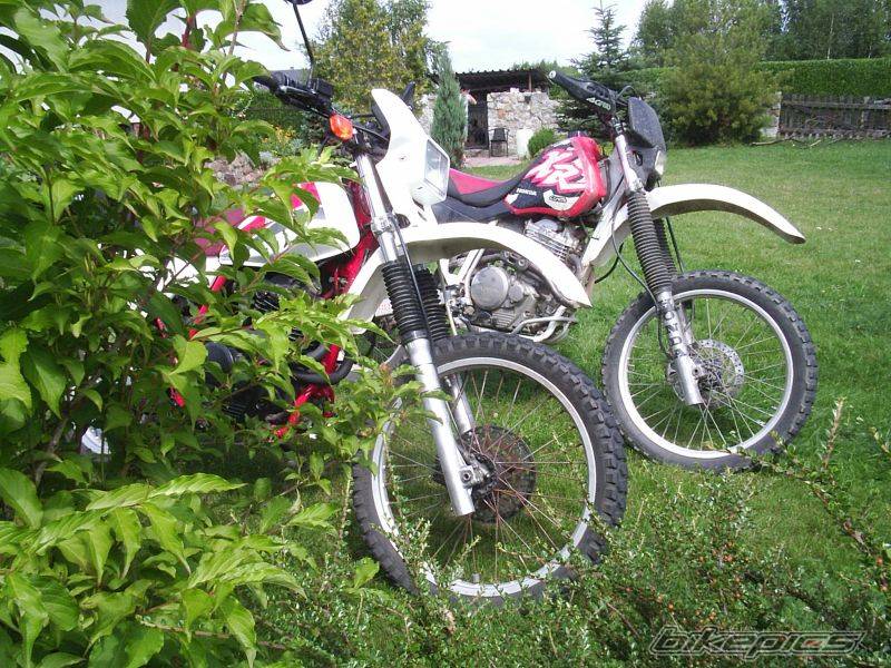 Photo 479304