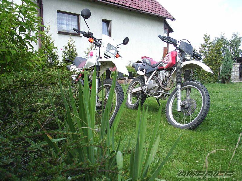 Photo 479305