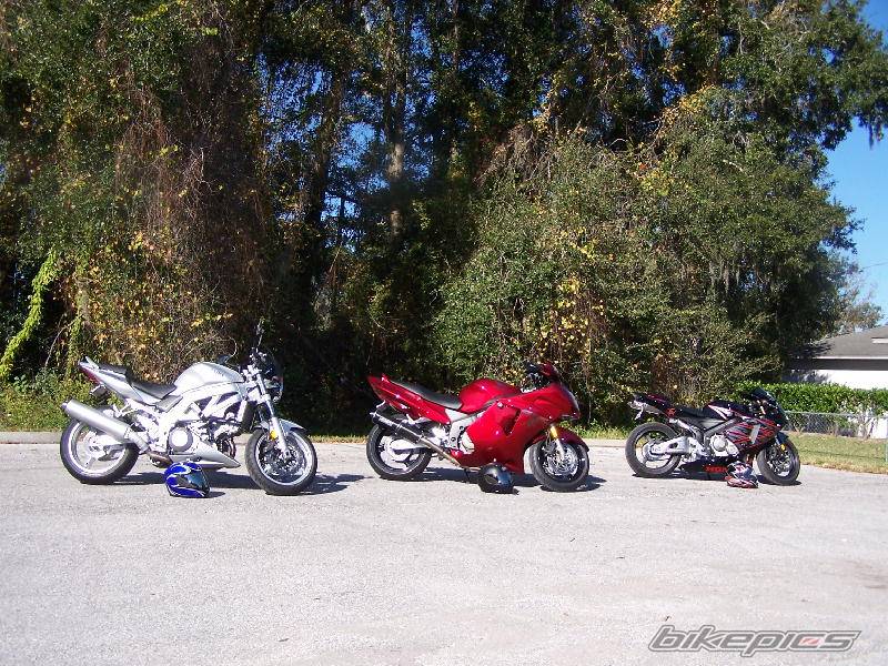 Photo 479390