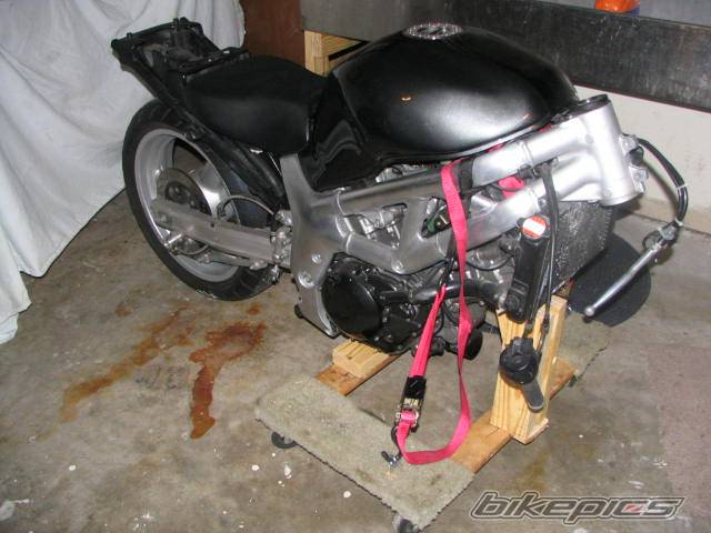 Photo 479462