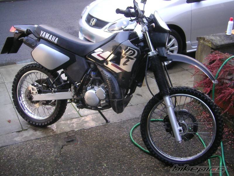 Photo 479545