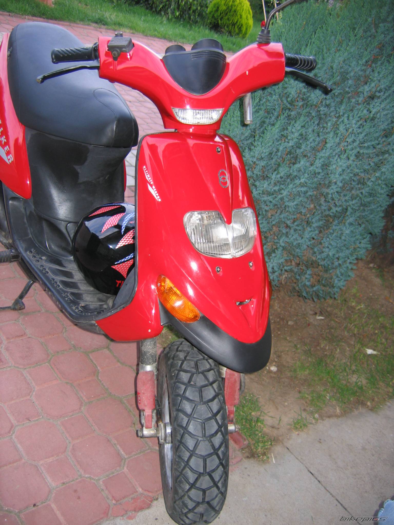 Photo 479566